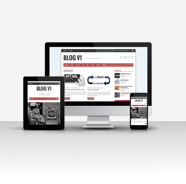 Blog V1